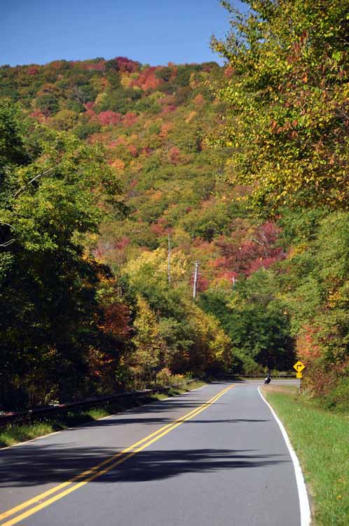 road scene